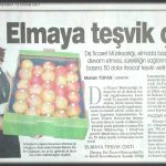 Elmaya Teşvik Çıktı