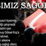 Başımız Sağolsun