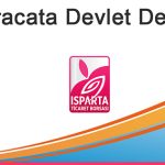 E-İhracata Devlet Desteği