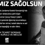 Başımız Sağolsun
