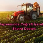 KKYDP Kapsamında Destek