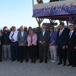1. Isparta Lavanta Festivali