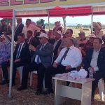 Lavanta Festivali