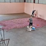 GÜL YAĞI VE GÜL SUYU ÜRETİCİSİ ÜYELERİMİZE ZİYARET