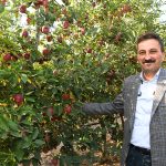 Isparta Elması Hakkındaki İddialara Borsamızdan Yanıt