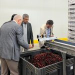 Borsamızdan Kiraz Sezonunu Hasat Dönemi Ziyareti